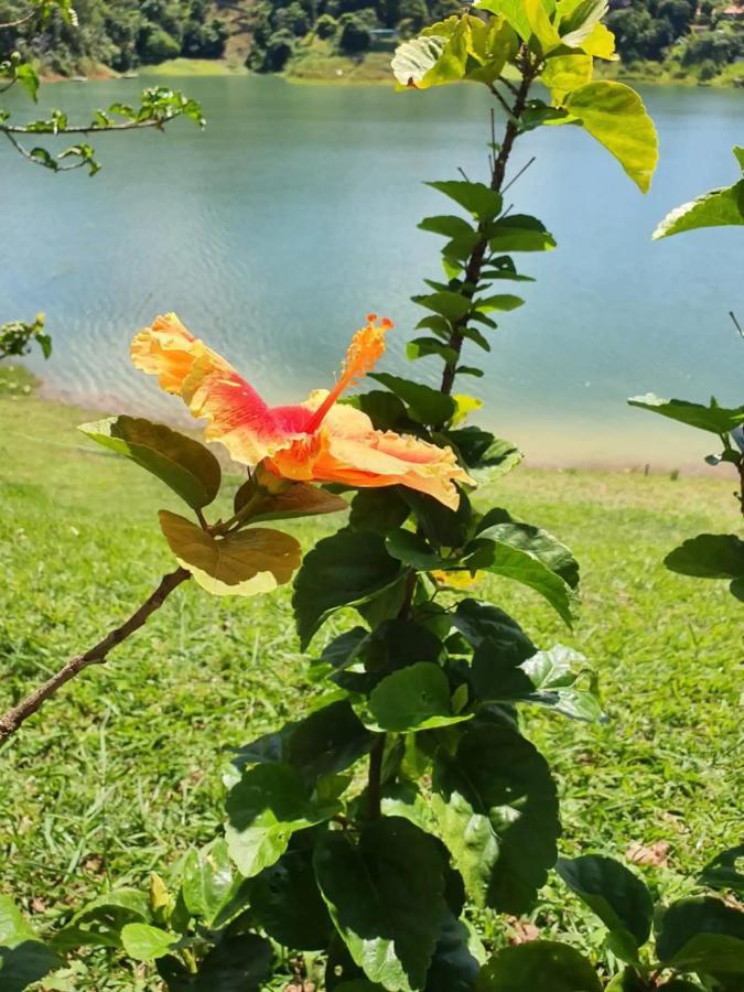 Maravilhoso Sitio Na Beira Da Represa Villa Igaratá Esterno foto